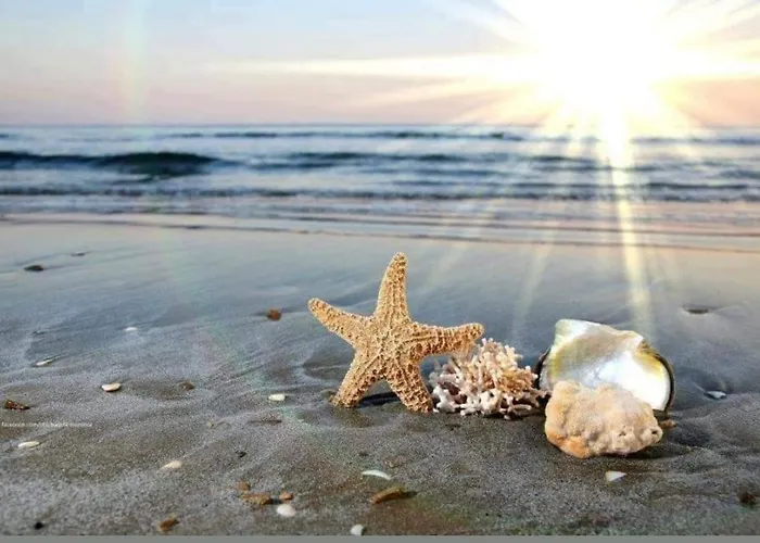 A-19 Sea View Studio-apartmen Sarafovo * Burgas Stad