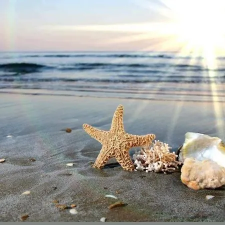 A-19 Sea View Studio-apartmen Sarafovo * Бургас